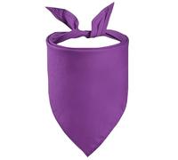 Petitebella Single Color Pet Bandana (Purple, Large)