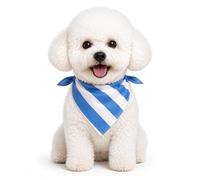 Petitebelle Dog Bandana Flag Print - Soft Satin Washable Pet Scarf Bibs for Small Medium Large Dogs & Cats - Adjustable Patriotic Pet Neckwear for Holiday, Party, Everyday Wear (Argentina, Medium)