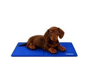Petlicity Dog Cooling Mat 40x30cm - Self Cooling Gel Cooling Mat for Dogs and Cats - Portable and Easy to Clean Cool Mat for Dogs for Beds, Travel and Warm Weather (Small)