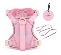 Petmolico No Pull Cute Dog Harness for Small Dogs, with Two Leash Clips and Soft Handle, Reflective Easy Walk Dog Harness- Light Pink,Small