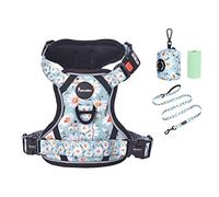 Petmolico No Pull Dog Harness Set with Leash Attachment Easy Control Handle Reflective Harness Vest Small Breed, Puppy Vest and Leash Set with Poop Bag Holder, Small - Daisy