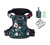 Petmolico No Pull Dog Harness Set with Leash Attachment Easy Control Handle Reflective Harness Vest Small Breed, Puppy Vest and Leash Set with Poop Bag Holder, Small - Green Rhododendron