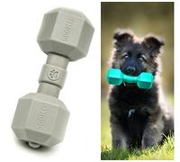 Petopedia Dog Chew Toy JUMBO DUMBBELL - Made with Rubber, Durable Bone - Interactive, Squeaky Toys for Dogs - Puppy Stuff, Teething, Playing, Training, Boredom (Grey)