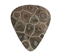 Petoskey Stone (2) Print Guitar Picks,12 Pack Guitar Plectrums Thin, For Bass Electric Acoustic Guitars Ukulele