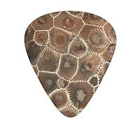 Petoskey Stone &Guitar Picks Pack Of 12,Comfortable Feel, Smooth Edges, Abrasion,Suitable For Guitar, Ukulele, Etc.