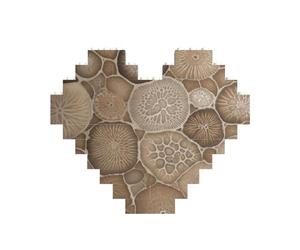 Petoskey Stone Printed Jigsaw Puzzle 10.8x12.8 CM, Heart-Shaped Puzzle Challenging Game for Adults Gifts, Family Fun Decorative Wall Decor