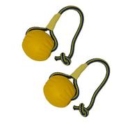 PetPhindU 2 Pack Dog Toy Ball with Rope for Tug Fetch Toss Float, for Medium Large Dogs, 3.5 Inch and 22.8 Inch Rope