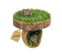 PetPhindU 2 Pack Jumping Spider Hide and Climbing Platform, Natural Wood Enclosure Accessory for Resting and Exploration