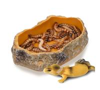 PetPhindU 4-inch Reptile Food Bowl, Is Suitable for Reptiles Such As Bearded Dragons, Chameleons, Frogs, Snakes, Turtles, and Leopard Geckos (Grey,5")