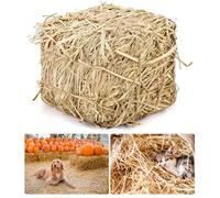 PetPhindU Natural Straw Bale for Cat Shelter, 8 X 8 X 8 Inch Soft Dry Straw Bedding for Cats Feral Cats and Small Animals, Decorative Hay Bale for Outdoor Use Farm Decor Garden Straw and Pet Bedding