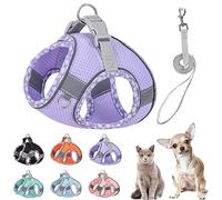 PETPUBGNZS Cute Plaid No Pull Dog Harness for Small Dogs Soft Mesh Small Dog Harness and Leash Set Easy Walk Step in Puppy Harness Vest Pet Cat Chihuahua Yorkie Shih Tzu Dog Harnesses (Purple,L)