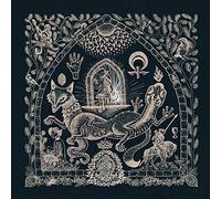 Petrels - Dusk Loom [VINYL]