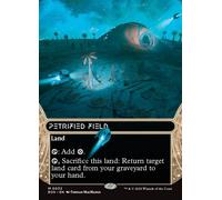 Petrified Field (Borderless Stellar Sights Foil) | Edge of Eternities Stellar Sights
