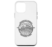 Petrified Forest National Park, Arizona, Nature Lover, 1962 Case for iPhone 12 mini