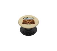 Petrified Forest National Park Arizona Vintage PopSockets Adhesive PopGrip