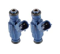 Petrol Fuel Injector Car Fuel Injector Fuel Injector Fuel Injector for Kia 35310-02900 3531002900 2X