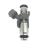 Petrol Injection Nozzles Compatible with C&itroen C4 C3 IPM019 1984F4 IPM-019 4 Holes Car Fuel Injectors Valve Petrol Injection Nozzles Replacement Accessories