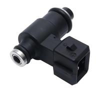 Petrol Nozzles 250cc-300cc Motorcycle Fuel Injector MEV07046 Spray Nozzle OE RP150A1 Ten Holes Performance Fuel Accessory Injector Nozzle Replacement