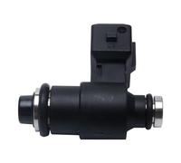 Petrol Nozzles 250cc-300cc Motorcycle Fuel Injector MEV07046 Spray Nozzle OE RP150A1 Ten Holes Performance Fuel Accessory Injector Nozzle Replacement