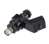Petrol Nozzles Fuel Injector Spray Nozzle OE 5HP-15651-03 14 Holes 250CC for Motorcycle Injector Nozzle Replacement