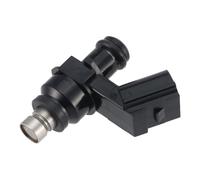 Petrol Nozzles Spray Nozzle 10 Holes 300CC Fuel Injector for CB300 13-15 / XRE300 13-18 Injector Nozzle Replacement