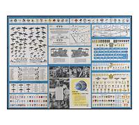 Petruccelli 1943 Chart War Peace Aircraft Insignia Large Wall Art Poster Print Thick Paper 18X24 Inch