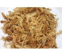Pets and Pastimes Natural Spagnum Sphagnum Moss (250g approx) for reptiles