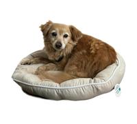 PETS CREW Small Pet Bed - Quality Comfy Cushions for Dogs and Cats (Beige) 48 L x 48 W x 21 H CM