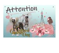 Pets-Easy. com Customized Watchdog Chinese Dog Sign - pre perforated and screws delivered. From 30 cm to 15 cm…