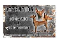 Pets-Easy. com Personalised Beware of the Dog Sign Pharaoh's Dog - pre perforated and screws delivered. From 30 cm to 15 cm…