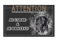 Pets-Easy. com Plaque Attention to the Dog Great Dane Black - pre perforated and screws offered. From 30 cm to 15 cm…