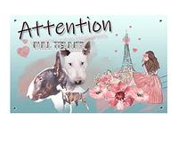 Pets-Easy. com Plaque Beware of the Dog personalised Bull Terrier brindle - pre perforated and screws delivered. From 30 cm to 15 cm…