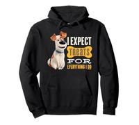 Pets Expect Treats For Everything I Do Pullover Hoodie
