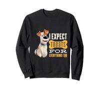 Pets Expect Treats For Everything I Do Sweatshirt