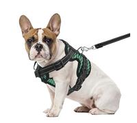 PET'S HUB Small Dog Harness, No Pull Pet Harness With 2 Lead Clips, Soft Padded Dog Vest Harness, Reflective & No-Choke Control Handle, With Leash. (Green, Small)