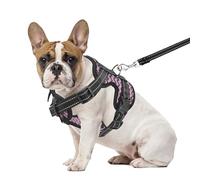 PET'S HUB Small Dog Harness, No Pull Pet Harness With 2 Lead Clips, Soft Padded Dog Vest Harness, Reflective & No-Choke Control Handle, With Leash. (Pink, Small)