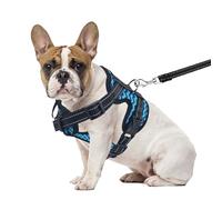 PET'S HUB Small Dog Harness, No Pull Pet Harness With 2 Lead Clips, Soft Padded Dog Vest Harness, Reflective & No-Choke Control Handle, With Leash. (Blue, Ex-Small)