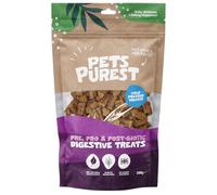 Pets Purest Digestive Pre, Post & Probiotic Chews for Dogs. Natural Dog Treats with Prebiotics for Dogs - Pumpkin, Inulin & Chicory. 200g Cold Pressed Gut Health Chews