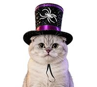 Pets Witch Hat | Funny Spider Kitten Outfit | Halloween Pets Costume - for Cosplay Outdoors Holiday Party on Birthday Home in the Garden Daily and Indoors