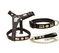 Pets2Care STAFF STAFFIE STAFFORDSHIRE BULL TERRIER DOG HARNESS, COLLAR AND CHAIN LEAD SET BLACK & BROWN BRASS (DF) (BROWN)