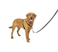 PetSafe 3 in 1 Dog Harness - No Pull Solution for Dogs - Reflective Dog Harness - Front D-Ring Clip Helps Stop Pulling - Comfortable Padded Straps - Top Handle Enhances Control - Black - Large