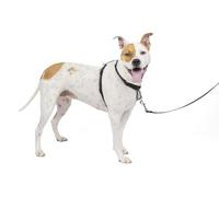 PetSafe 3 in 1 Dog Harness - No Pull Solution for Dogs - Reflective Dog Harness - Front D-Ring Clip Helps Stop Pulling - Comfortable Padded Straps - Top Handle Enhances Control - Black - Medium