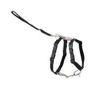 PetSafe 3 in 1 Dog Harness - No Pull Solution for Dogs - Reflective Dog Harness - Front D-Ring Clip Helps Stop Pulling - Comfortable Padded Straps - Top Handle Enhances Control - Black - Extra Small