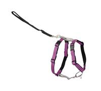 PetSafe 3 in 1 Harness and Car Restraint, Large, Plum, No Pull, Adjustable, Training for small/medium/large dogs