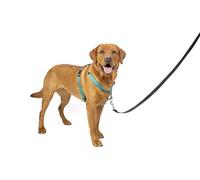 PetSafe 3 in 1 Harness and Car Restraint, Large, Teal, No Pull, Adjustable, Training for small/medium/large dogs