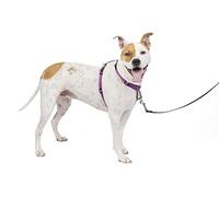 PetSafe 3 in 1 Harness and Car Restraint, Medium, Plum, No Pull, Adjustable, Training for small/medium/large dogs