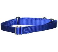 PetSafe Adjustable Martingale Collar - Only Tightens When Dogs Pull, Prevents Slipping Out - Helps with Strong Pullers, Increased Control - Alternative to Choke Collar - 3/4", Medium, Royal Blue