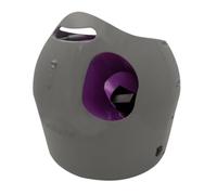 PetSafe Automatic Ball Launcher