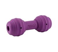 PetSafe Busy Buddy Chuckle - Treat Dispensing Toy for Interactive Play - Chuckle Sound Toy - Dog Enrichment Chew Toy - Durable Rubber Construction - Dishwasher Safe