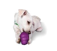 PetSafe Busy Buddy Squirrel Dude, Interactive Treat Dispensing Dog Toy - Chew Toy, Small Dogs